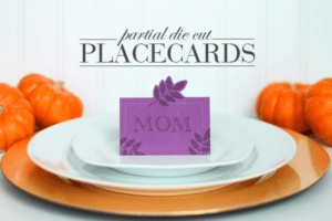Partial Die Cut Placecards