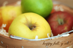HappyFallYall