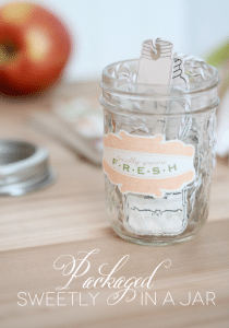 Mason Jar Tags Packaged