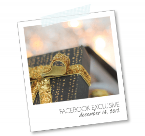 Facebook Exclusive Hero Arts Project