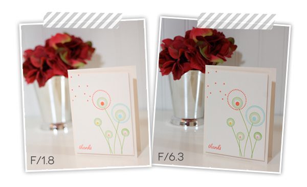 Aperture Comparisons | Damask Love Blog