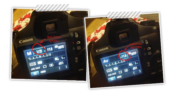 Apeture&ShutterSpeedCameraSettings