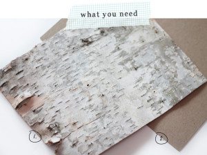 DIY Birch Bark Basket: Supplies | Damask Love Blog