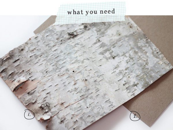 DIY Birch Bark Basket: Supplies | Damask Love Blog