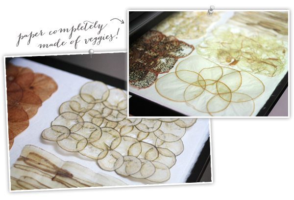 Paris is for Paper Lovers | Damask Love Blog