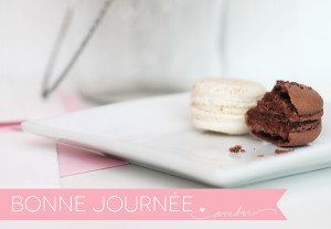 Craftroom Crush: Avery Elle Bonjour | Damask Love Blog