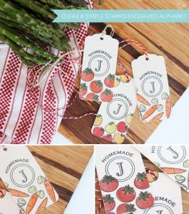 Monograms Made Easy: Favorite Alphabet Stamps | Damask Love Blog