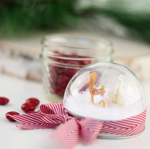 Snow Globe Mason Jar Topper | Damask Love