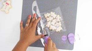DIY We R Memory Keepers Fuse Tool Packaging + Free Funny Printables | damask love