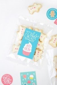DIY We R Memory Keepers Fuse Tool Packaging + Free Funny Printables | damask love