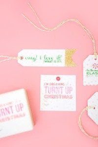 Silhouette Mint Stamp Maker