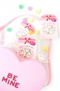 Easy DIY Classroom Valentine Carrier |damask love