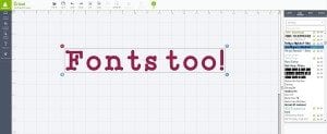 Cricut Design Space Explained | damask love
