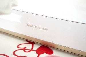 Valentine's Day Crafting Party