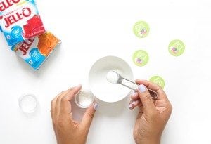 DIY Fried Egg Felt Zipper Pouch