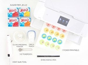 DIY Photo Transfer Flower Pillows