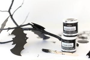 give your spooky decor a mod makeover with this easy to make Modern Halloween Wall Decor project using DecoArt Outdoor Living paint