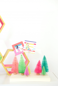 DIY Bottle Brush Tree Photo Display | damask love