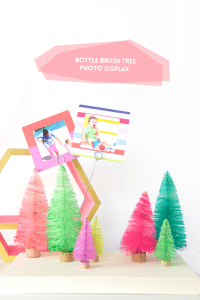 DIY Bottle Brush Tree Photo Display | damask love