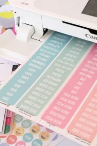 Printable Planner Stickers for Bloggers | damask love