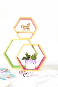 DIY Upcycled Unicorn Planter | damask love