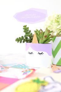DIY Upcycled Unicorn Planter | damask love