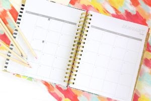 Day Designer Planner Review | damask love