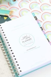 Ashley Shelly Planner Review | damask love