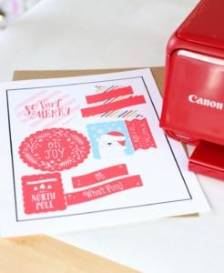 DIY Chipboard Stickers with Canon and Cricut | damask love