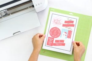 DIY Chipboard Stickers with Canon and Cricut | damask love