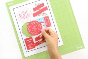DIY Chipboard Stickers with Canon and Cricut | damask love