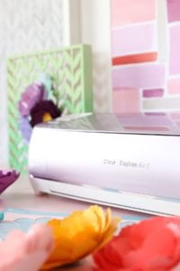 The new Cricut Wisteria bundle available exclusively at JOANN is the perfect machine for creating perfect paper flowers. I'll show you how.