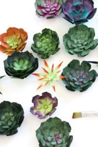 How to Make Realistic Paper Succulents with Cricut | damask love