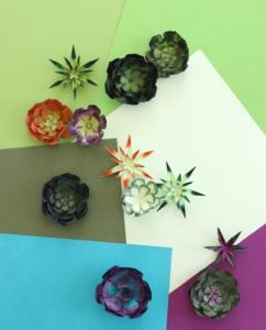 How to Make Realistic Paper Succulents with Cricut | damask love