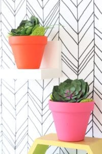 How to Make Realistic Paper Succulents with Cricut | damask love