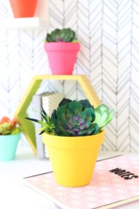 How to Make Realistic Paper Succulents with Cricut | damask love