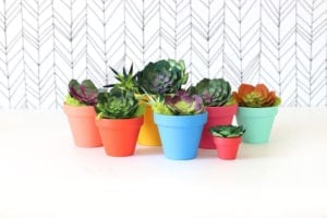 How to Make Realistic Paper Succulents with Cricut | damask love