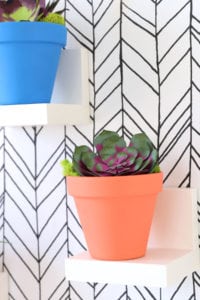 How to Make Realistic Paper Succulents with Cricut | damask love