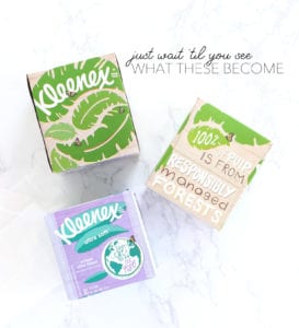 Upcycled Kleenex Box DIYs for Earth Day | damask love