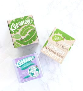Upcycled Kleenex Box DIYs for Earth Day | damask love